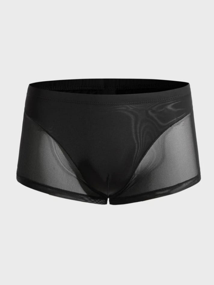 Midnight Mesh Trunk Brief